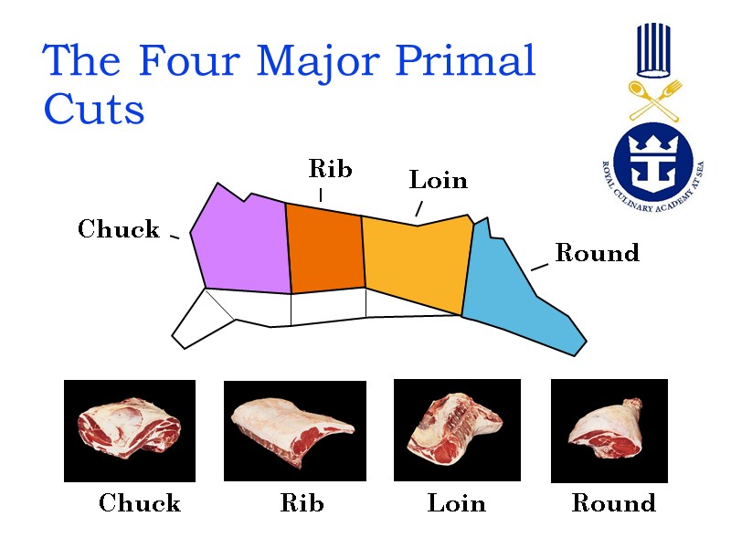 The Four Major Primal Cuts Rib Round Chuck Loin Chuck Rib Loin Round